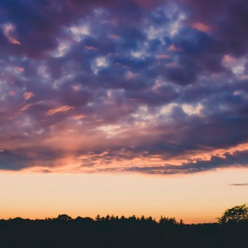 silhouette of trees under cloudy sky during sunset