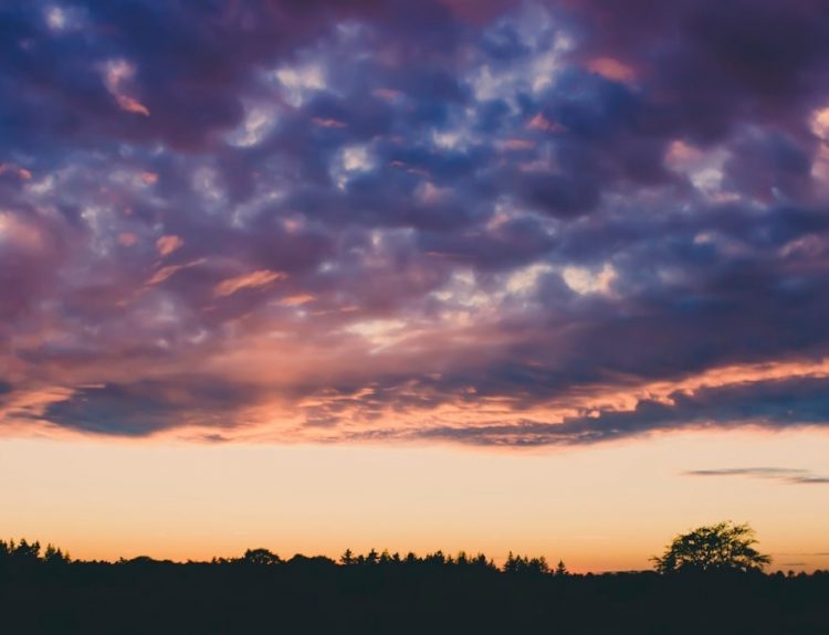 silhouette of trees under cloudy sky during sunset