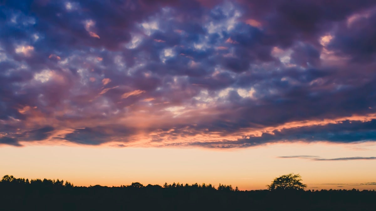 silhouette of trees under cloudy sky during sunset